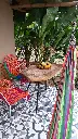 20220625_155929.webp